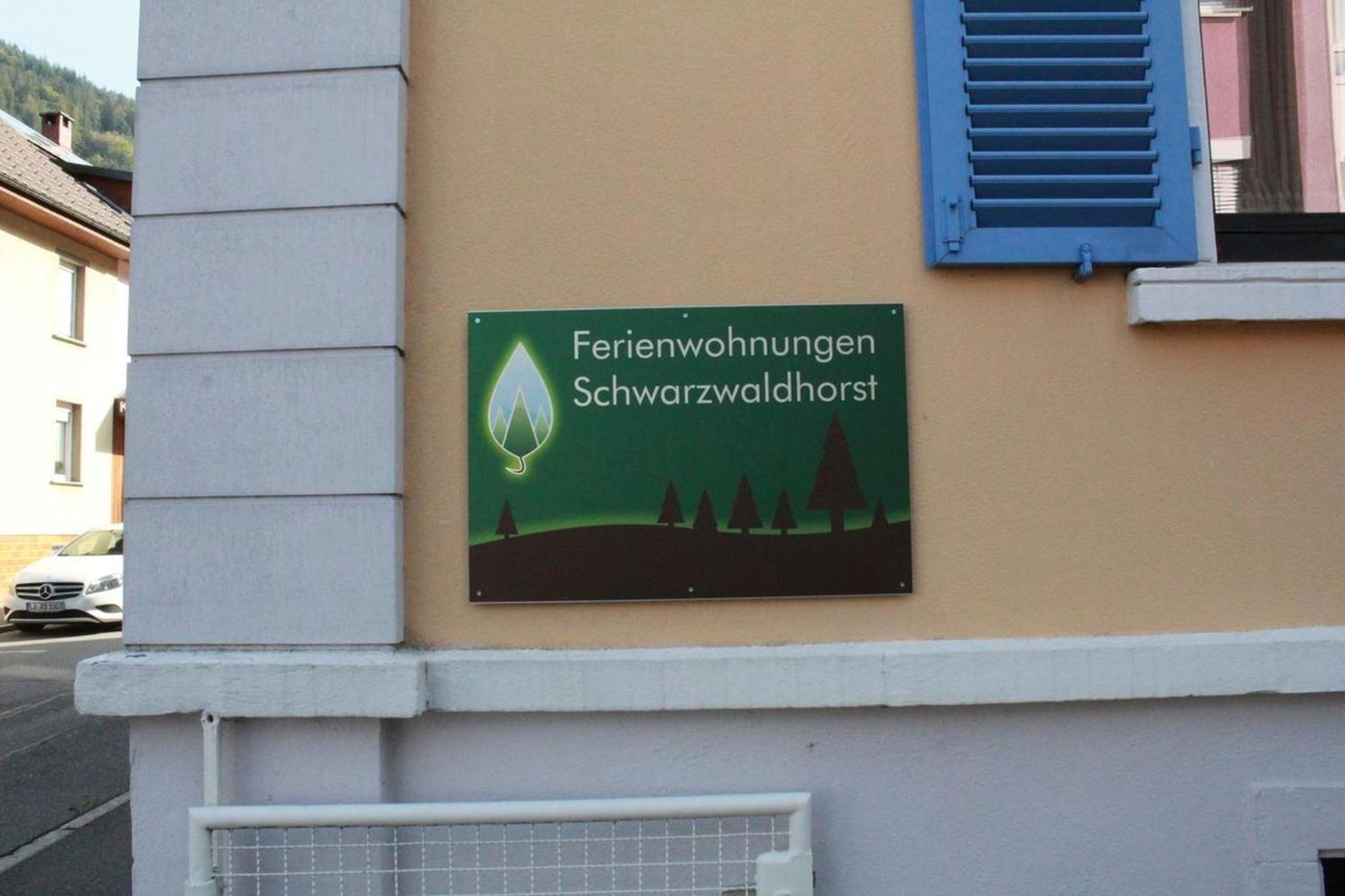 Schwarzwaldhorst Fewo 2 - Mit 4 Schlafzimmer - Todtnau, Liftverbund Feldberg Exterior foto